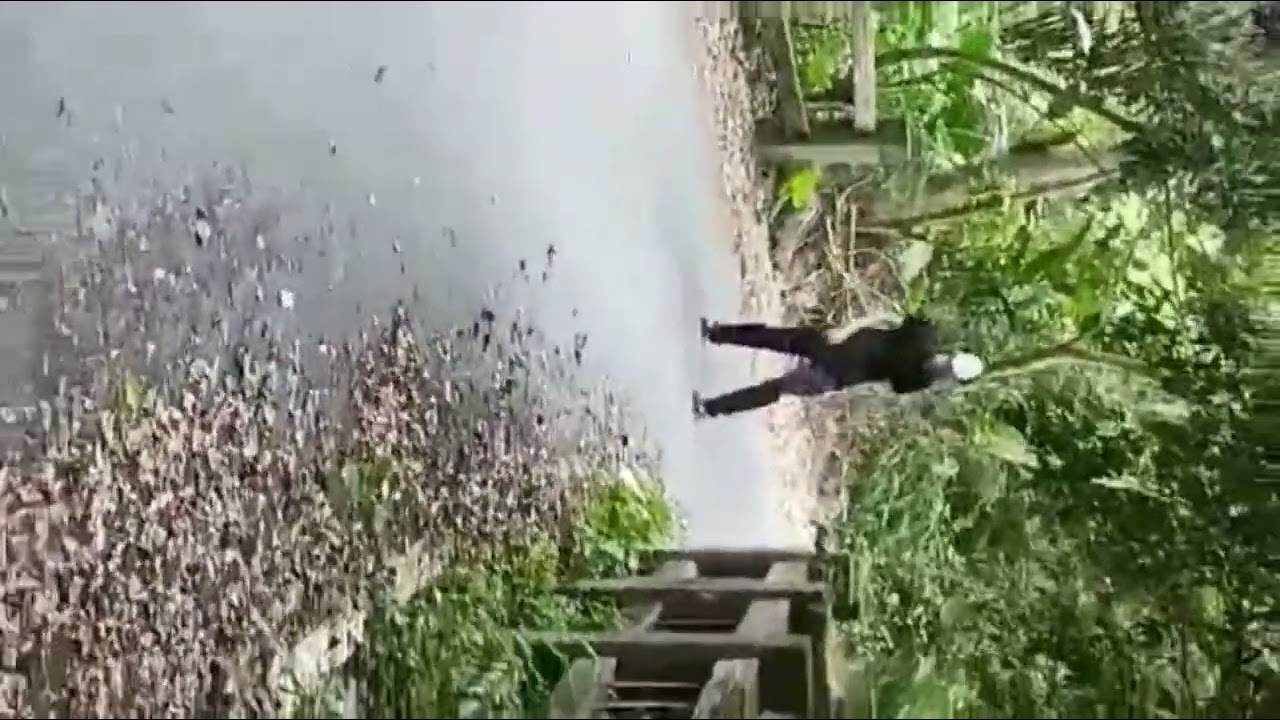 和平怪人