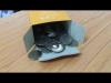 Handee's Treasure