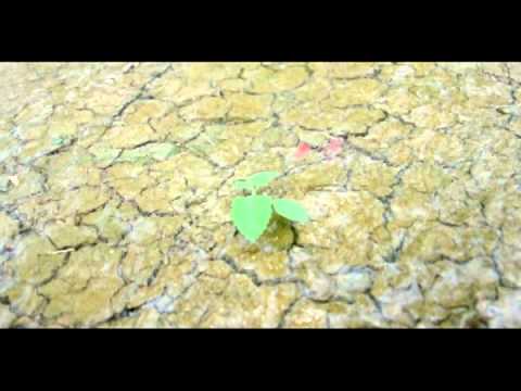 Greyhold Revese 1分50秒